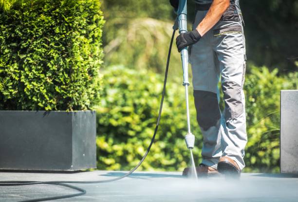 Best Roof Washing  in Lakehurst, NJ